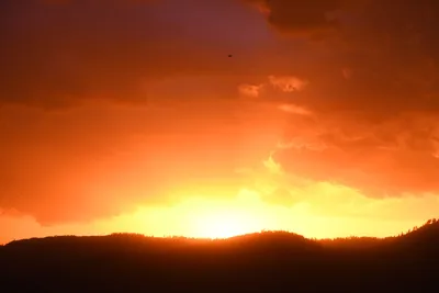 DSC_4574 (Large).JPG